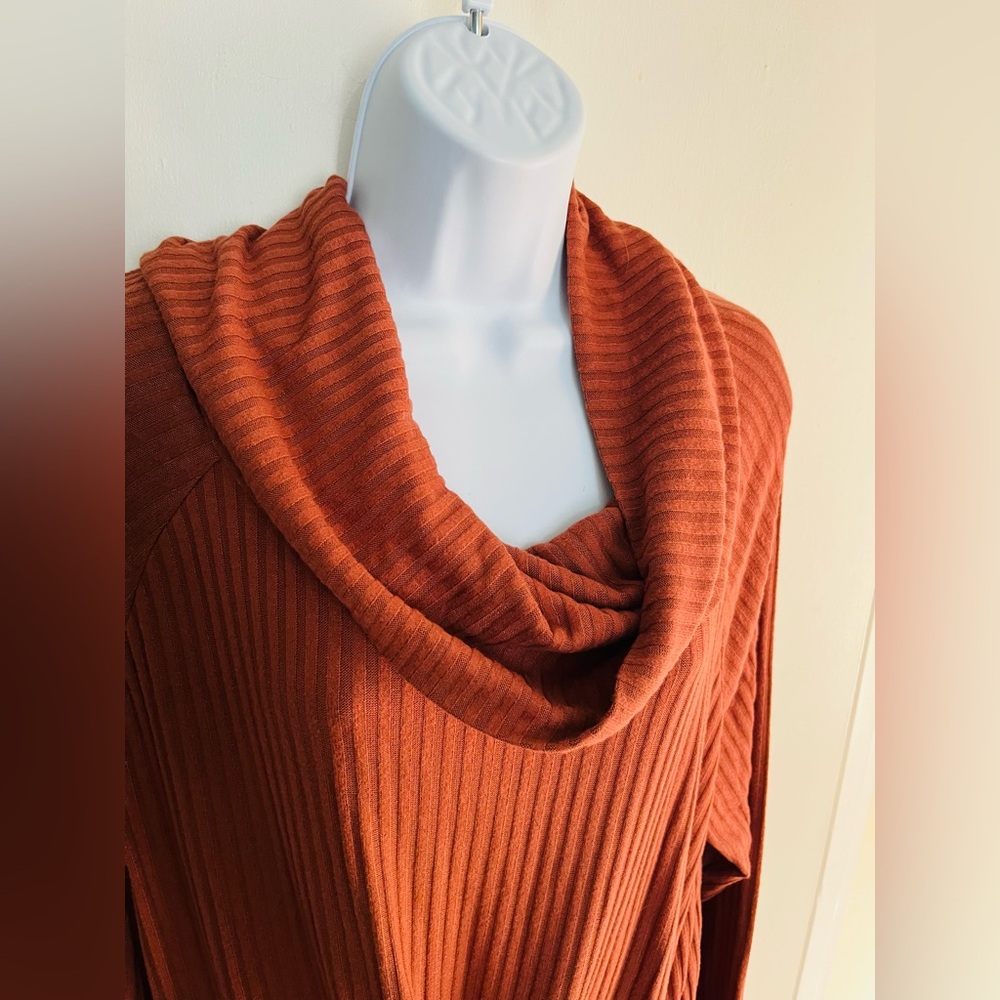 AnyBody Rust Long Sleeve cowl neck Ribbed Dress-Size XL - Picture 4 of 16